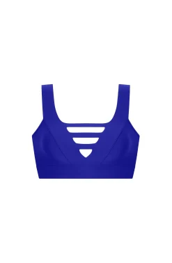 Pain de Sucre bessy Myrtille