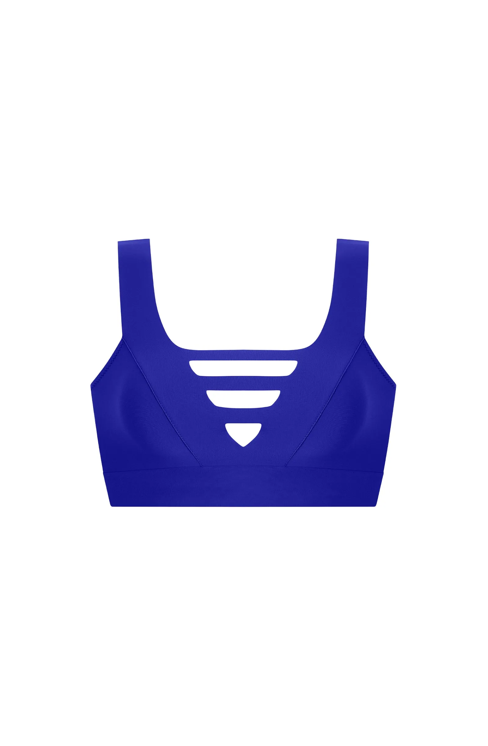 Pain de Sucre bessy Myrtille