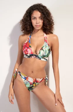 Pain de Sucre diva mo Flower Sale