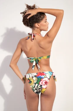 Pain de Sucre diva mo Flower Sale