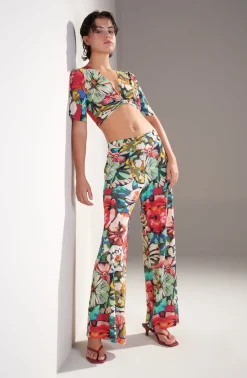 Pain de Sucre pitta Flower Best