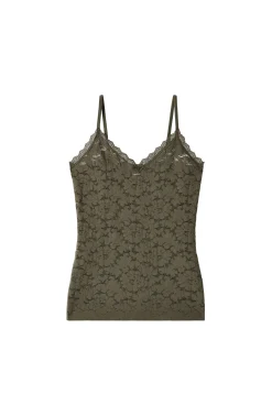 Pain de Sucre rana Lichen