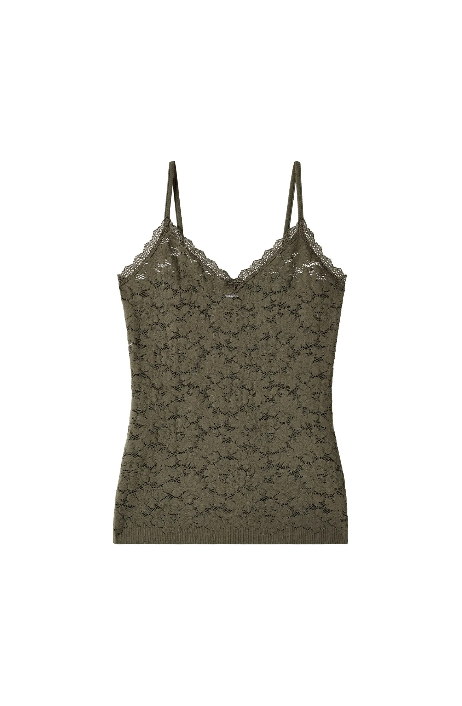 Pain de Sucre rana Lichen