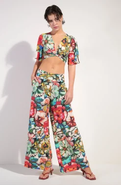 Pain de Sucre tainy Flower Best