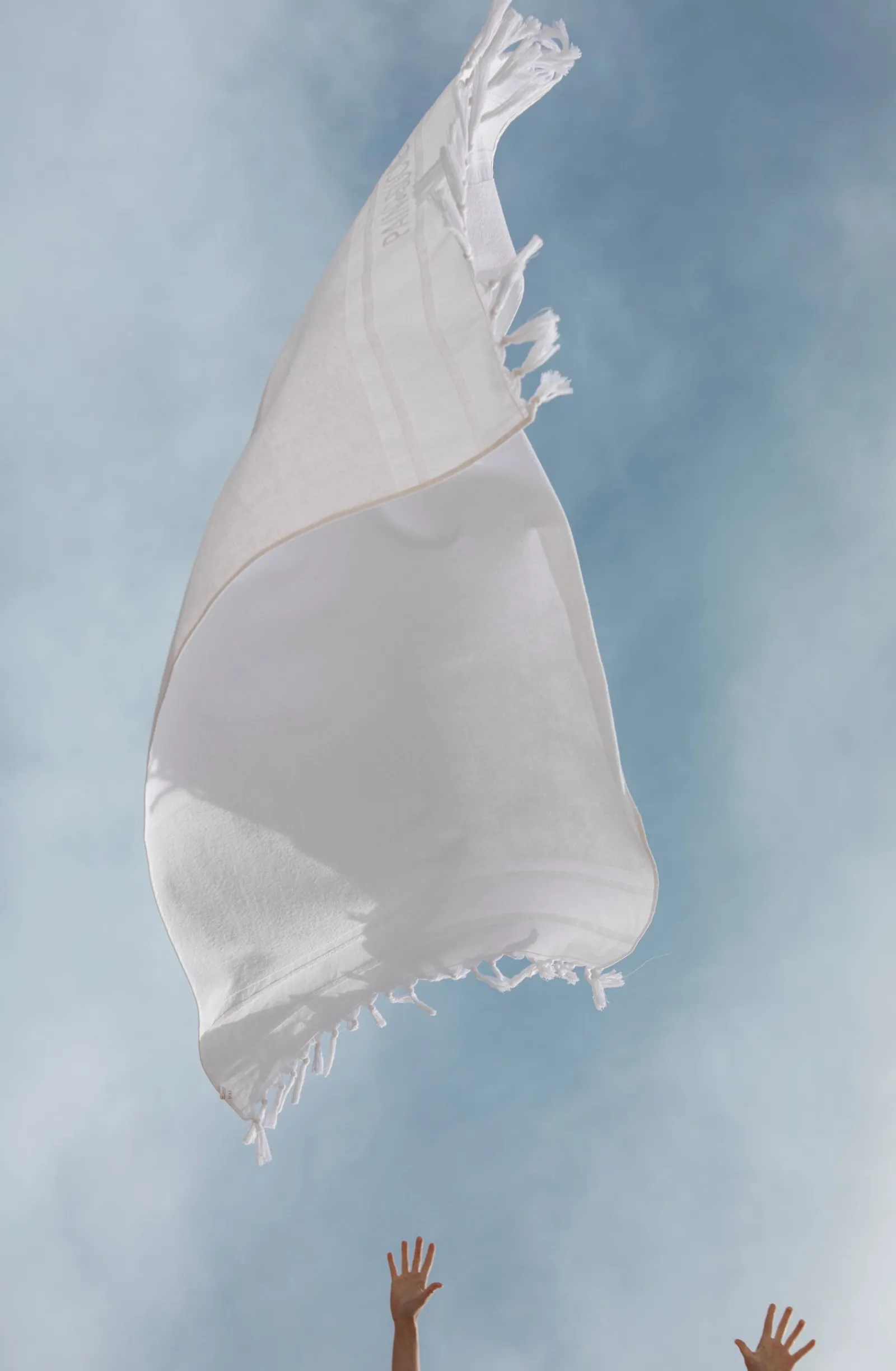 Pain de Sucre zaina Blanc Hot